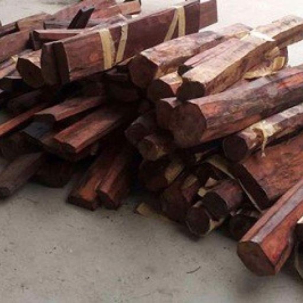 Chiếc sập gỗ trắc được được lưu trữ tại kho đồ cũ Hà Nội có giá 1,5 tỷ