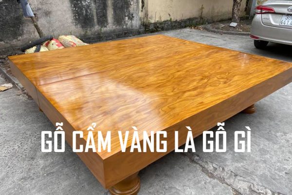 gỗ cẩm vàng là gỗ gì